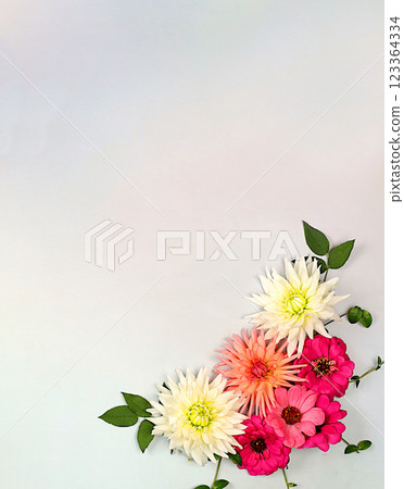 Beautiful autumn banner with dahlias, gerberas and asters on a light background,Abstract floral arrangement. Holiday card, Seasonal still life Hello, autumn , Seasonal flowers template, . 123364334