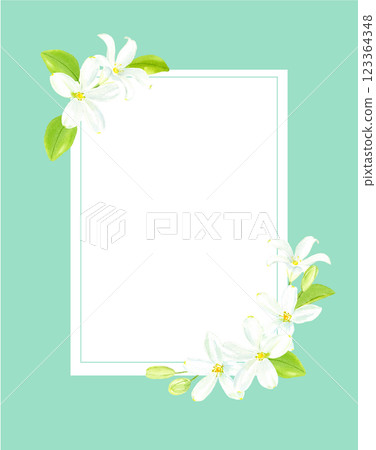 水彩茉莉框架 123364348
