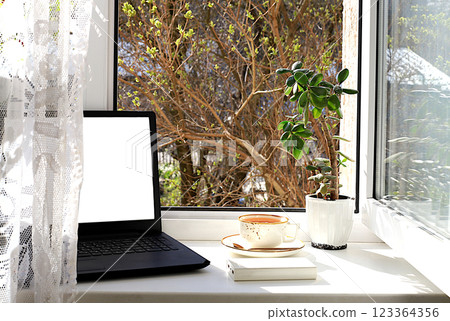 A cup of tea, a computer, a crassula flower in pots on a sunny window. Concept of home coziness, comfort and home office. Computer mobility and healthy lifestyle, selective focus 123364356