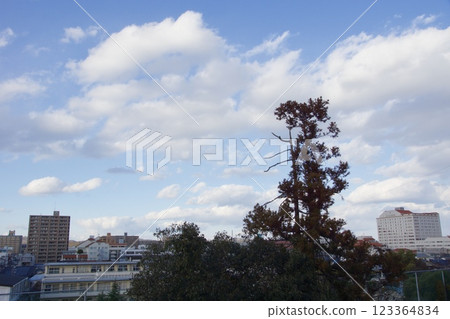 倉敷風景:阿智神社、鶴形山 倉敷風景:阿智神社、鶴形山 123364834