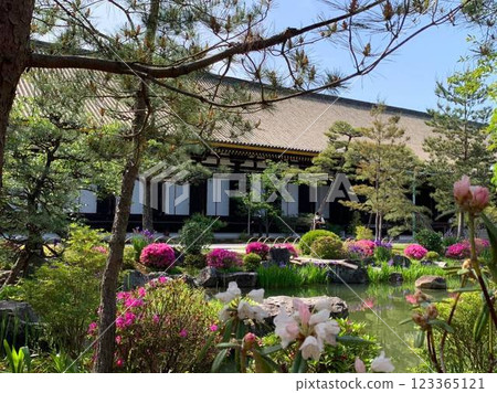 Flowers blooming in front of the main hall Flowers blooming in front of the main hall 123365121