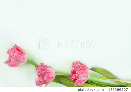 Holiday concept with flowers, abstract spring or summer composition, still life, banner. Greeting card for mothers day, womens day, lovers day, happy birthday, wedding, selective focus, gift for loved 123366207