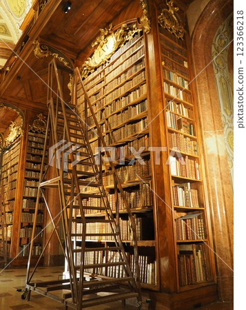 歐洲的歷史圖書館與梯子 123366218