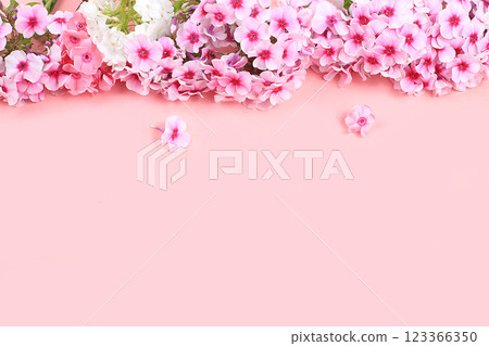 Abstract flower arrangement, still life, spring banner, phlox frame with place for text on bright background. Greeting card for mother's day, womens day, valentine's day, happy birthday, wedding, 123366350