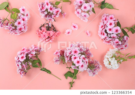 Abstract flower arrangement, still life, spring banner, phlox on a bright background. Greeting card for mother's day, womens day, valentine's day, happy birthday, wedding, selective focus 123366354