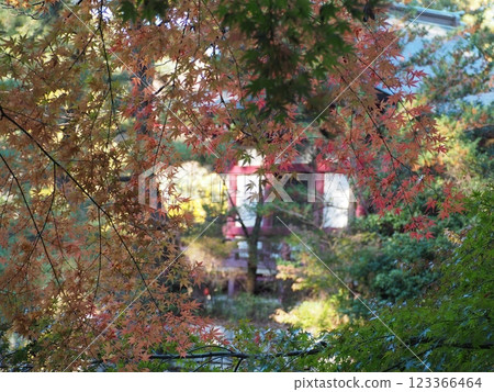 三埠寺 123366464