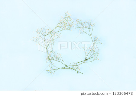 Composition of flowers on a blue isolated background, place for text, flat lay. Creative modern bouquet, minimal holiday concept. Postcard for women's day or Valentine's day, happy birthday, wedding, Composition of flowers on a blue isolated background, place for text, flat lay. Creative modern bouquet, minimal holiday concept. Postcard for women's day or Valentine's day, happy birthday, wedding, 123366478