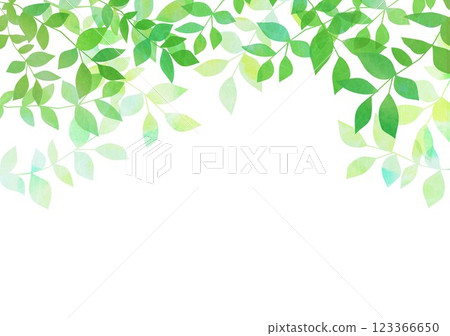 新鮮的綠葉茁壯成長 123366650