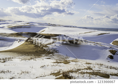 雪鳥取沙丘 123366667
