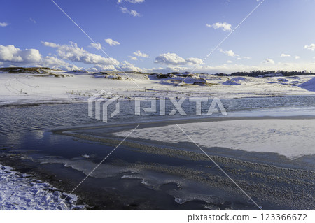 鳥取沙丘雪中的綠洲 鳥取沙丘雪中的綠洲 123366672