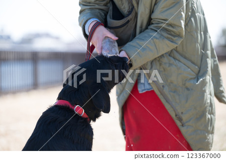 Dog drinking water from owner who is hydrating the dog 123367000