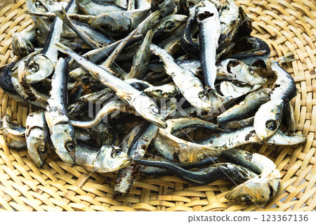 Image of dried sardines placed on a colander to make stock for miso soup Image of dried sardines placed on a colander to make stock for miso soup 123367136