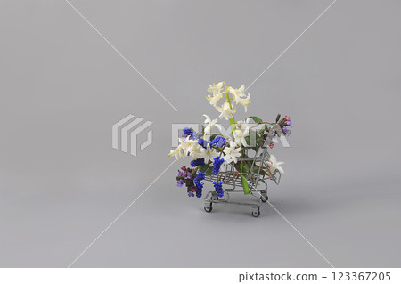 Muscari and hyacinth flowers in a basket.Abstract floral arrangement, background, minimal holiday concept, flower delivery, spring banner.Mothers day card, happy birthday, wedding, place for text, 123367205