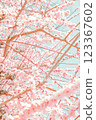 cherry blossom, cherry tree, spring 123367602