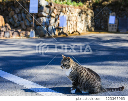 唐橋山神社 2 號 唐橋山神社 2 號 123367963