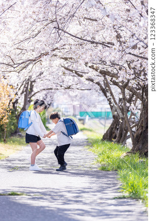 Children facing each other under a cherry tree 123368347