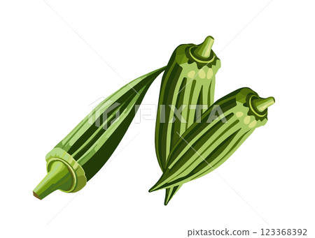 Realistic illustration material set of okra (3 pieces, AI generated, transparent PNG) 123368392