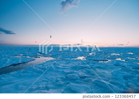 Drift ice and St. Pear 123368457