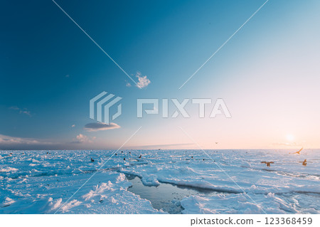 漂流冰和聖梨 漂流冰和聖梨 123368459