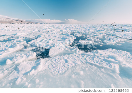 Drift ice seen from an icebreaker 123368463