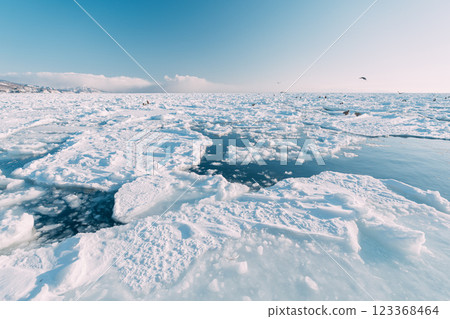 從破冰船上看到的流冰 從破冰船上看到的流冰 123368464