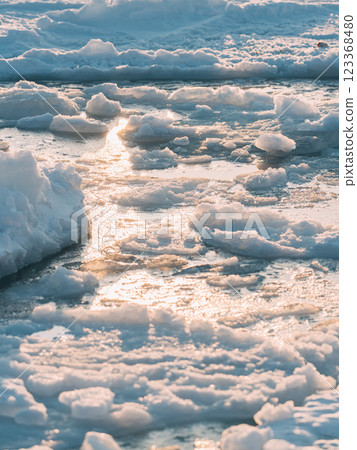 Drift ice washing into the winter sea 123368480