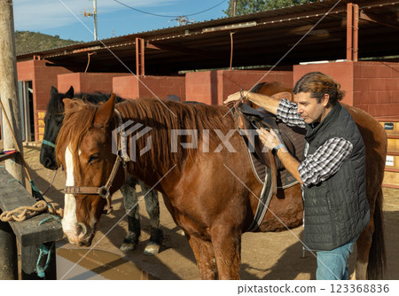 Portrait of confident adult horseman adjusting saddle of horse before horseback ride in country club 123368836