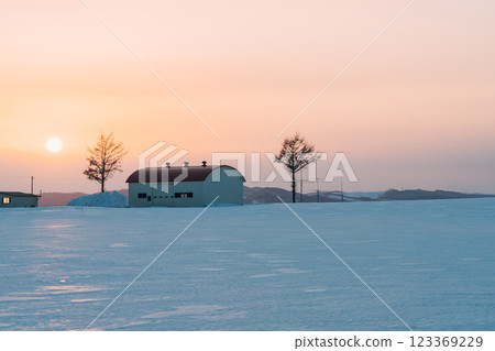 冬日的樹木被夕陽染紅 冬日的樹木被夕陽染紅 123369229