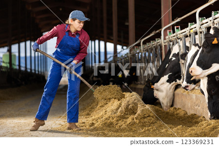 Young female farmer feeding cows on dairy farm 123369231