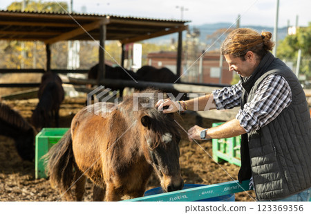 Portrait of positive middl-aged man stroking and taking care of foals in country horse club on sunny day Portrait of positive middl-aged man stroking and taking care of foals in country horse club on sunny day 123369356