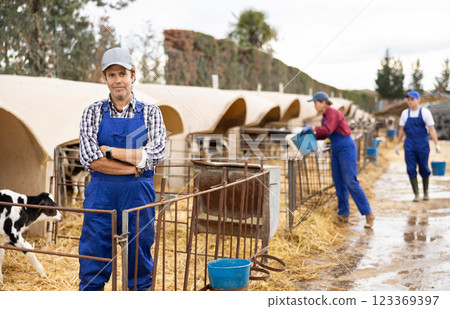 Adult male farmer giving water to calves on farm 123369397