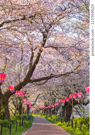 Gyodo Shrine 123369829