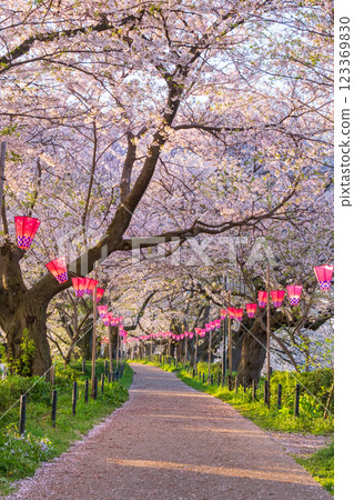 Gyodo Shrine 123369830