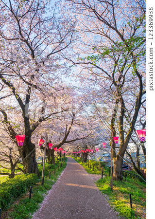 Gyodo Shrine 123369938