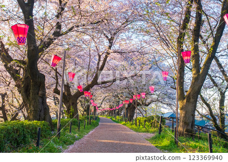 Gyodo Shrine 123369940