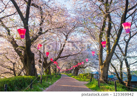 Gyodo神社 Gyodo神社 123369942