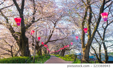 Gyodo神社 Gyodo神社 123369943