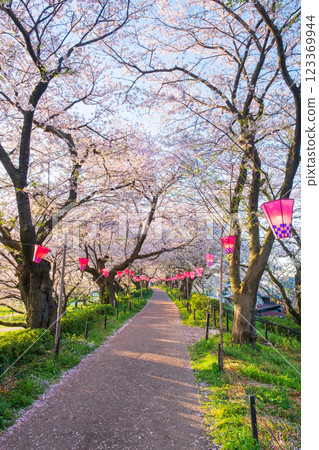 Gyodo Shrine 123369944