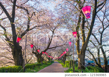 Gyodo神社 Gyodo神社 123369965