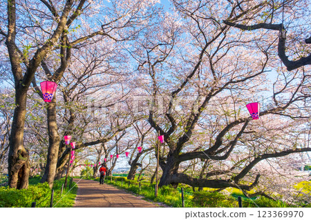 Gyodo Shrine 123369970