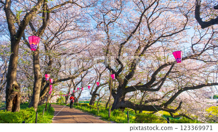 Gyodo神社 Gyodo神社 123369971