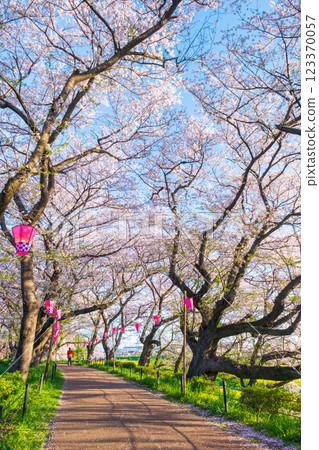 Gyodo Shrine 123370057