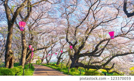 Gyodo Shrine 123370059