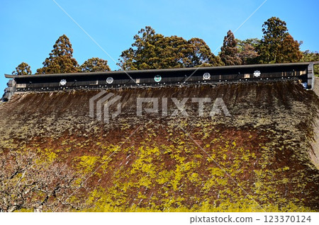 Okuno Shohoji Temple (New Year) 123370124