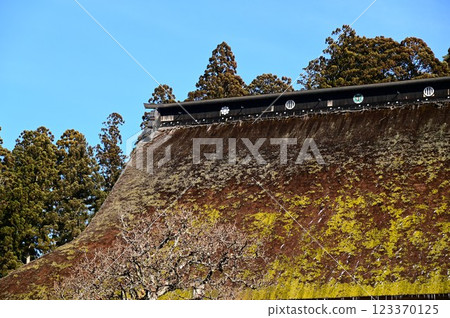 Okuno Shohoji Temple (New Year) 123370125