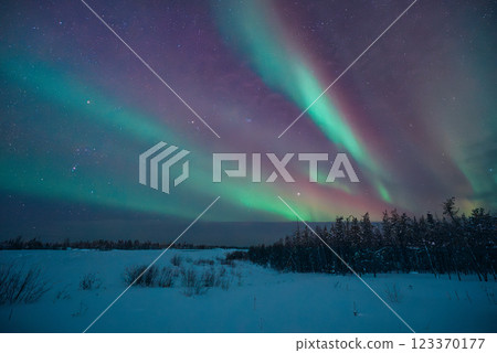 耶洛奈夫的壯麗極光景觀 123370177