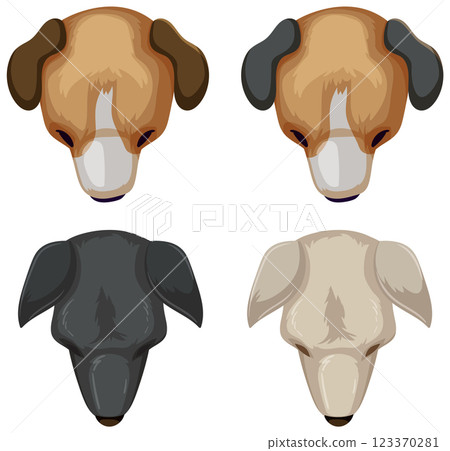Top-Down View of Four Dogs 123370281