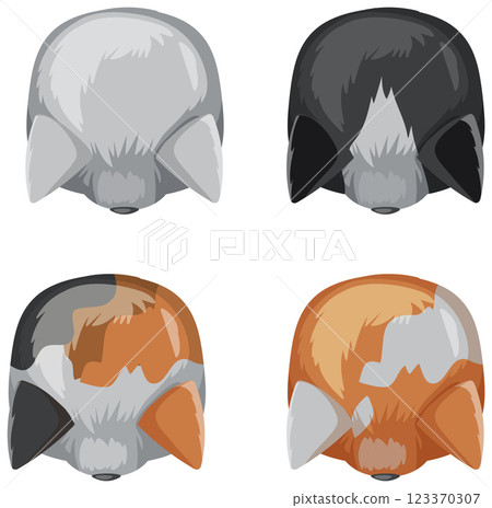 Top-Down View of Four Cats 123370307