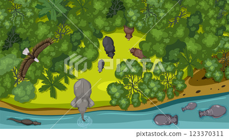 Biodiversity in a Lush Jungle Scene Biodiversity in a Lush Jungle Scene 123370311