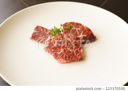 Grilled beef skirt steak 123370580